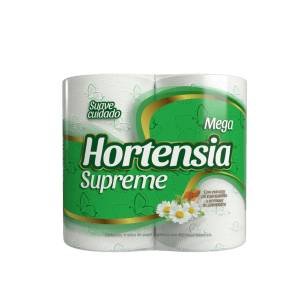 Papel Hig Hortensia Verde 500 Hojas