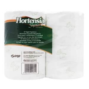 Papel Hig Hortensia Verde 500 Hojas