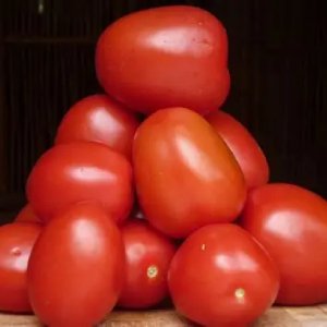Jitomate