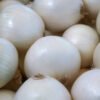 Cebolla